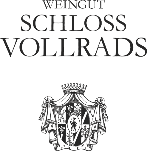 SVR_Logo_DE_1c_schwarz-removebg-preview