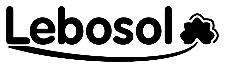 Lebosol_Logo_schwarz-removebg-preview